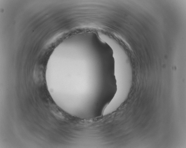 X0000083050968200702231951