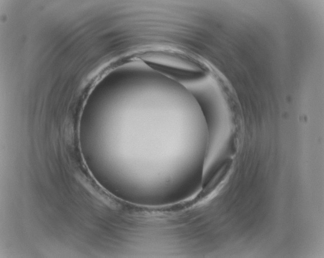 X0000083050969200702231951