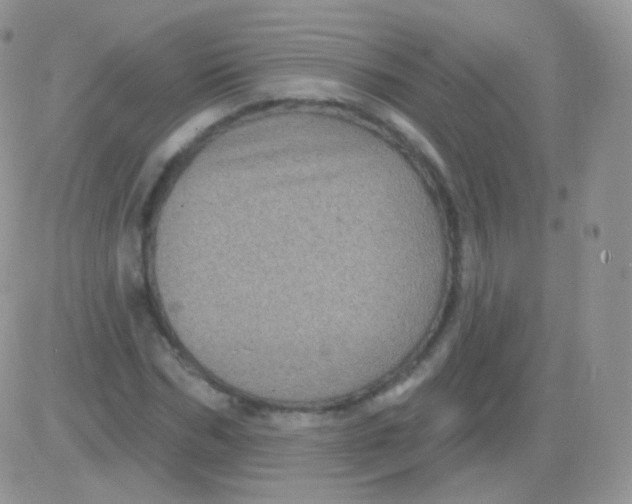 X0000083050970200702231951