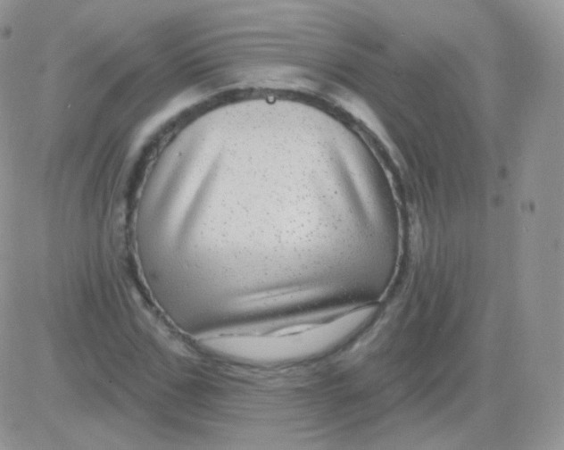 X0000083050971200702231951