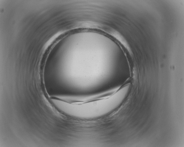 X0000083050972200702231951