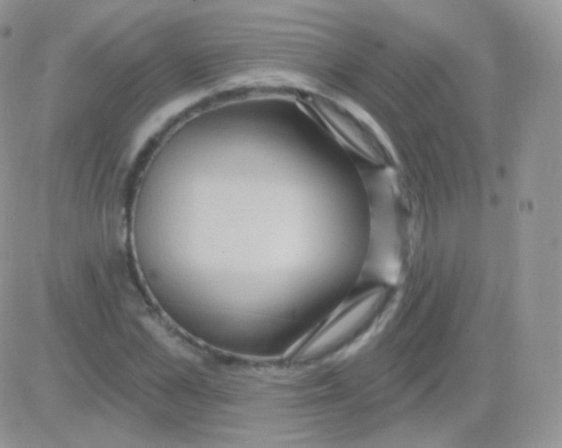 X0000083050973200702231951