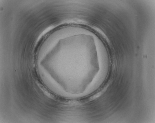 X0000083050974200702231951