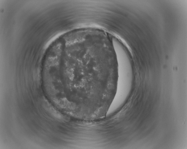 X0000083050975200702231951