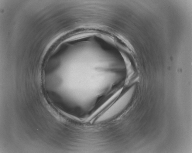 X0000083050976200702231951