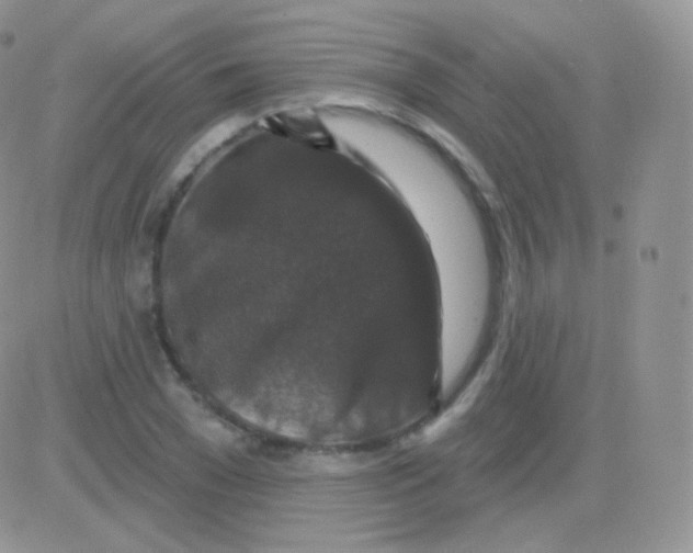 X0000083050977200702231951