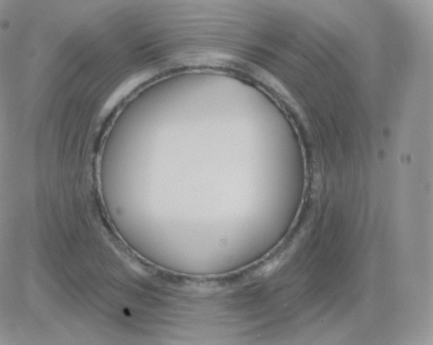 X0000083050978200702231951