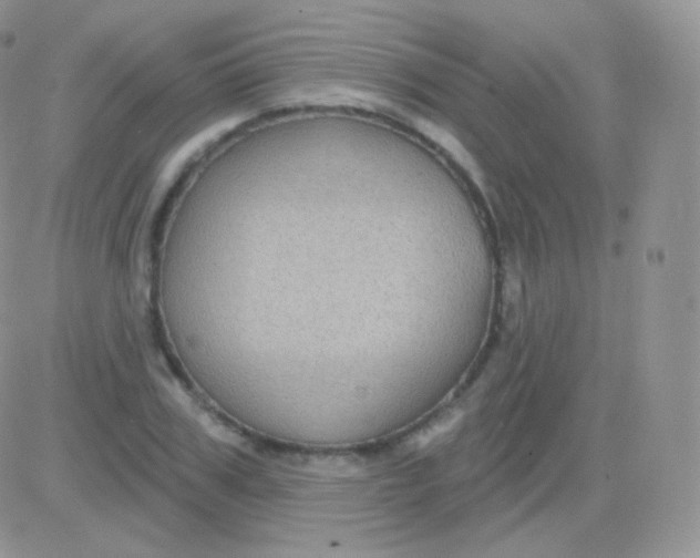 X0000083050979200702231951