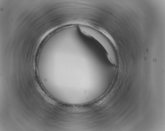 X0000083050980200702231951