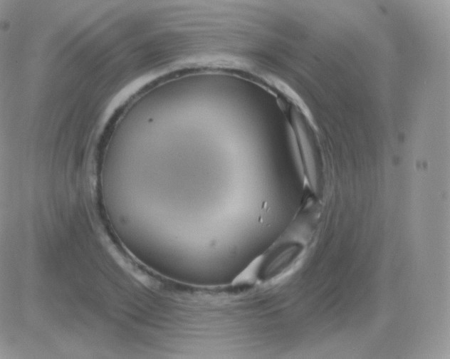 X0000083050981200702231951