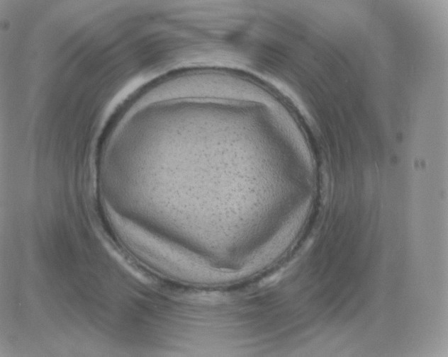 X0000083050982200702231951