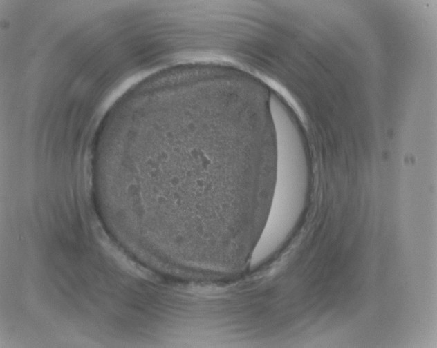 X0000083050983200702231951