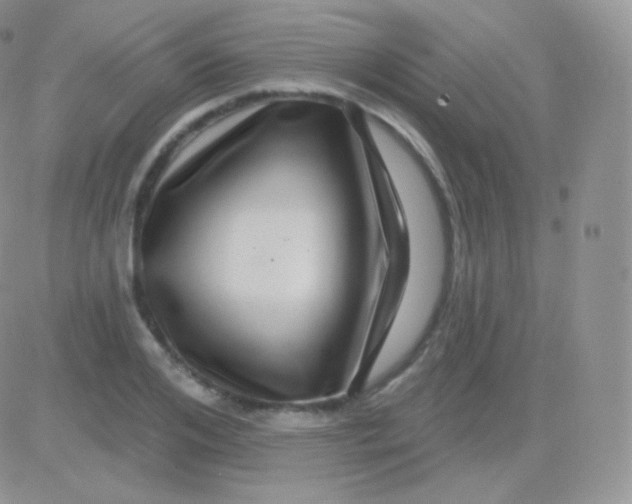 X0000083050984200702231951