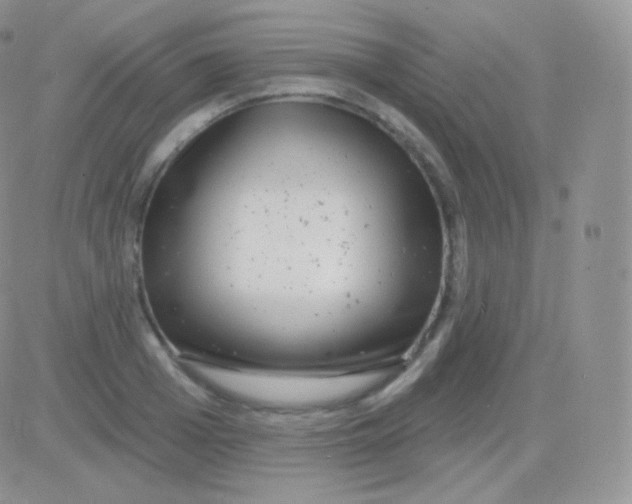 X0000083050985200702231951