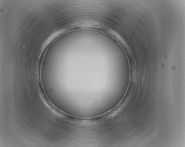 X0000083050986200702231951