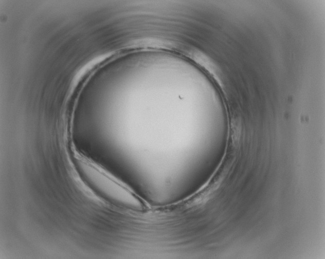 X0000083050987200702231951