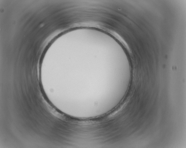 X0000083050988200702231951