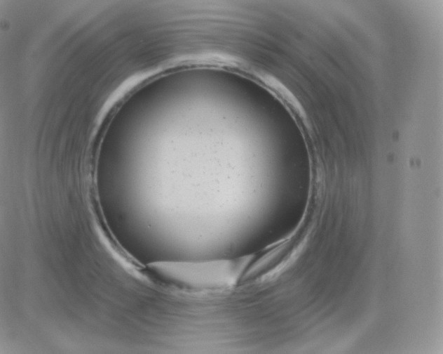 X0000083050989200702231951