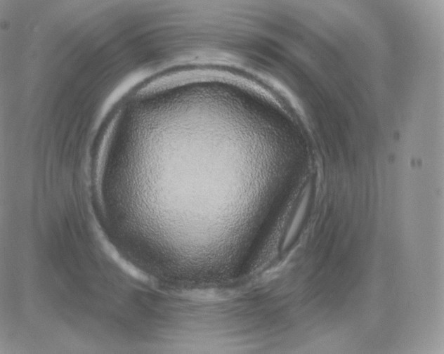 X0000083050990200702231951