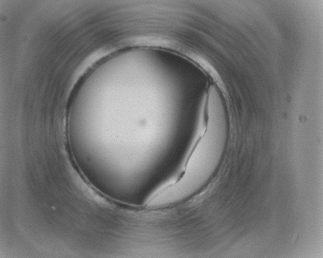 X0000083050992200702231951