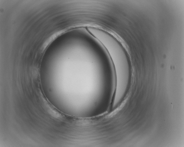 X0000083050993200702231950