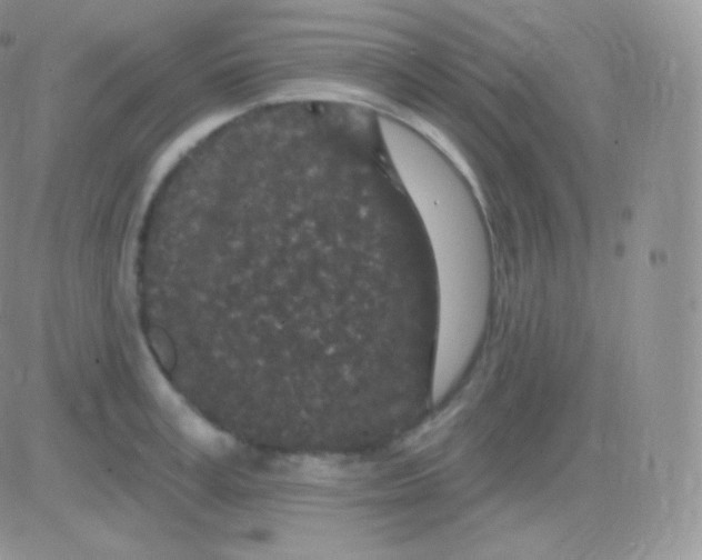 X0000083050995200702231950