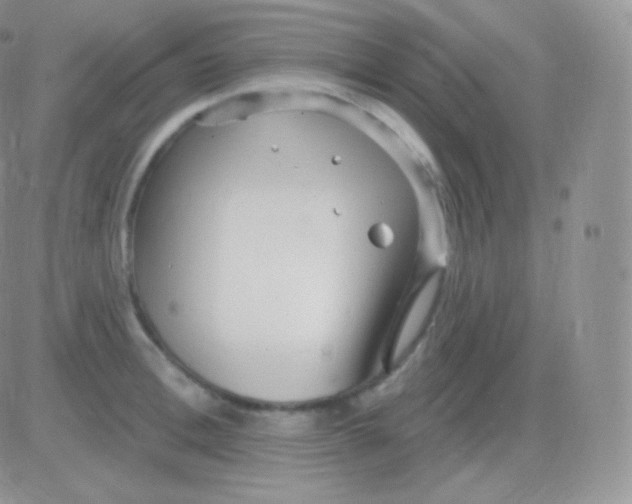 X0000083050996200702231950