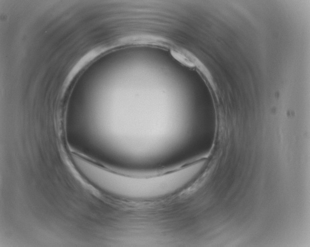 X0000083050997200702231950