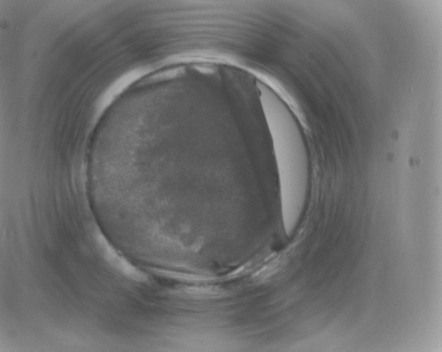 X0000083050998200702231950