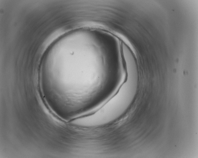 X0000083050999200702231950