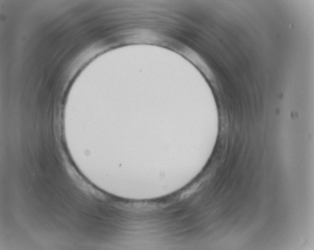 X0000083051000200702231950