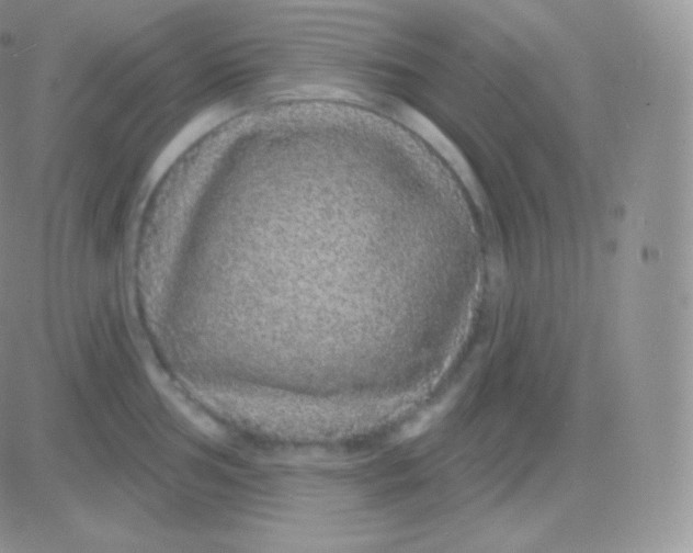 X0000083051002200702231950