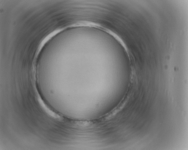 X0000083051003200702231950