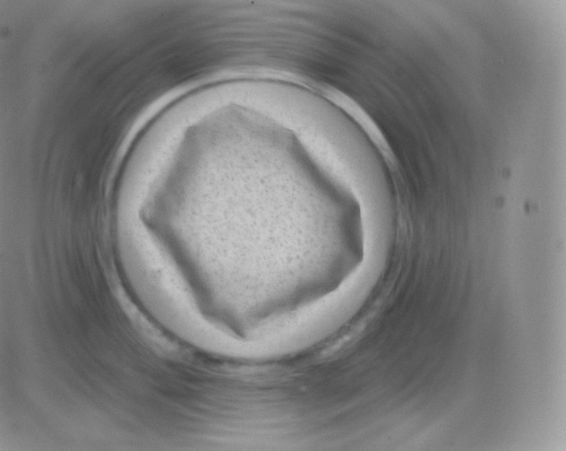 X0000083051004200702231950