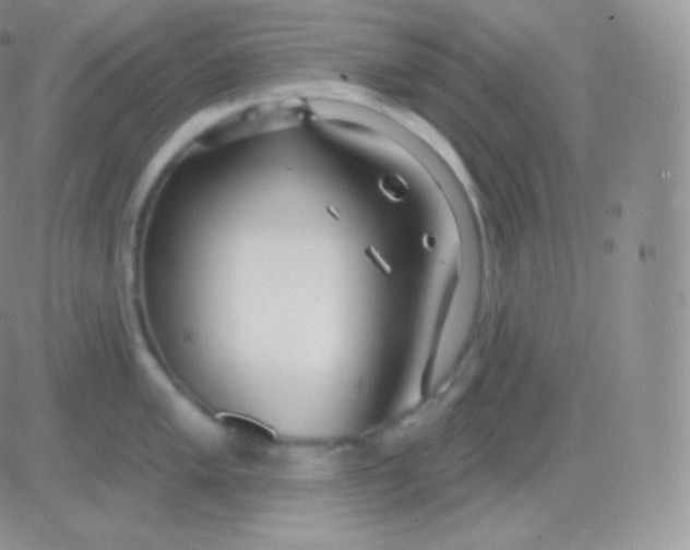 X0000083051005200702231950