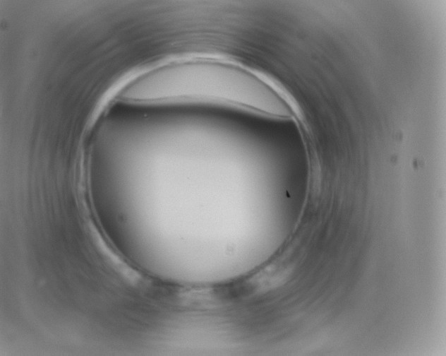 X0000083051006200702231950