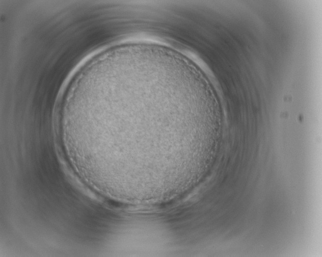 X0000083051008200702231950