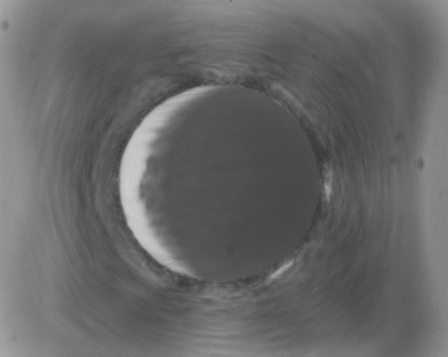 X0000083051009200702231949