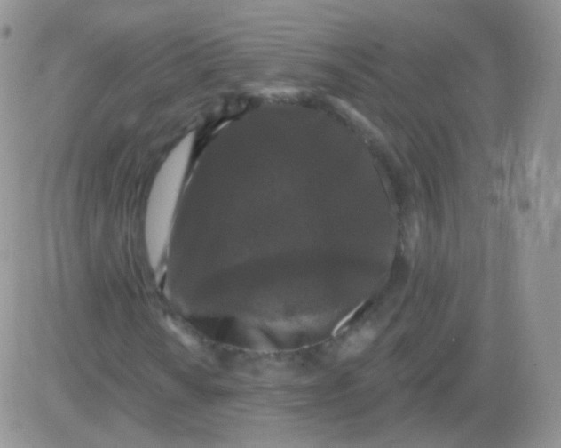 X0000083051010200702231949