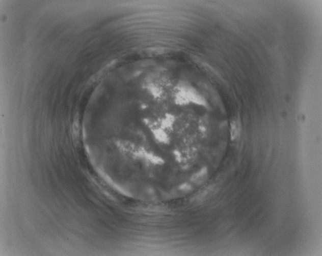 X0000083051011200702231949