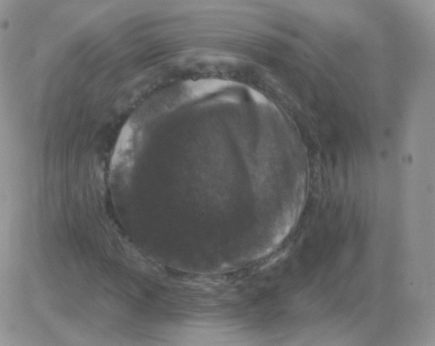 X0000083051013200702231950