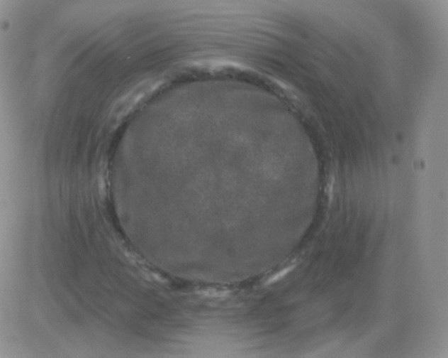 X0000083051014200702231950