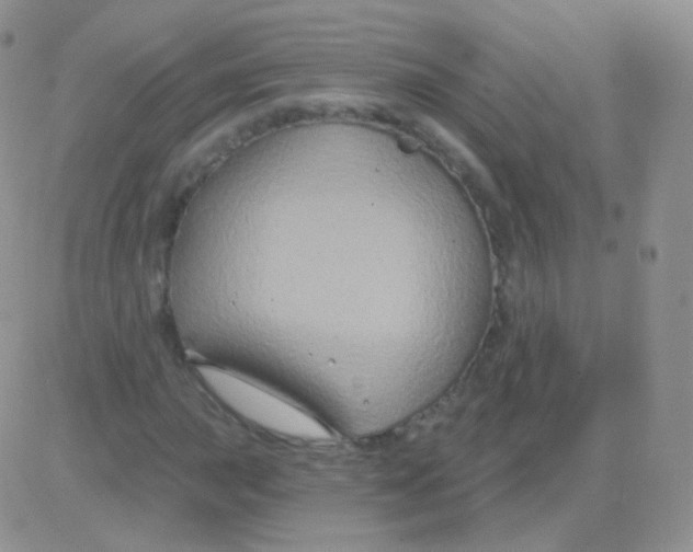 X0000083051015200702231950