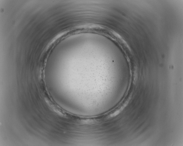 X0000083051017200702231950