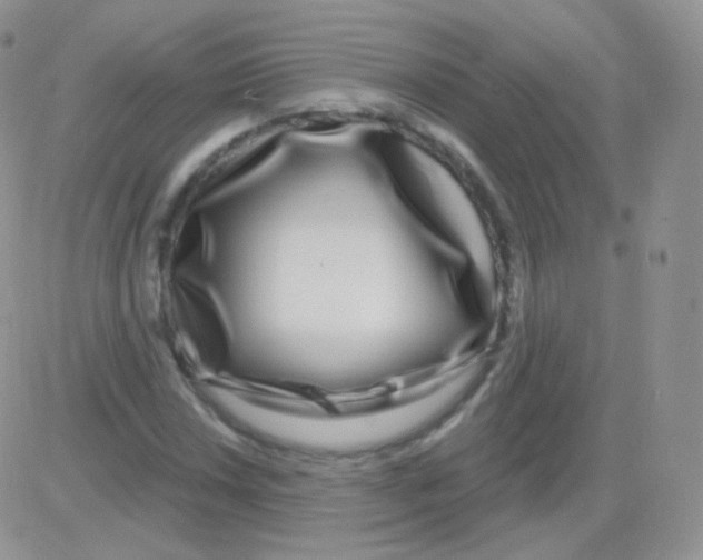 X0000083051018200702231950