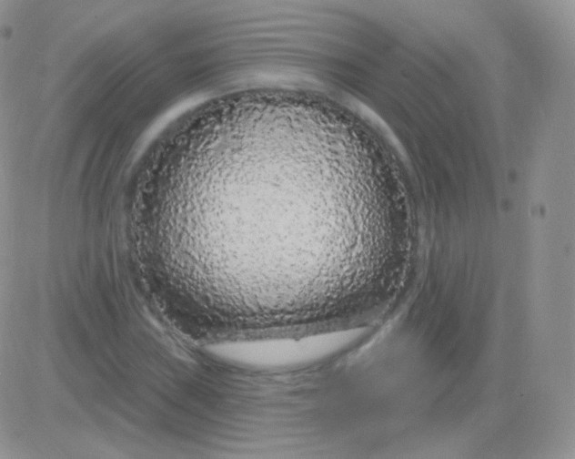 X0000083051019200702231950