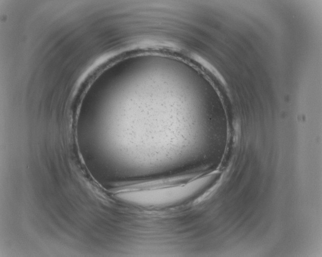 X0000083051021200702231950