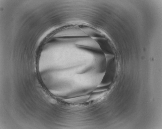 X0000083051022200702231950