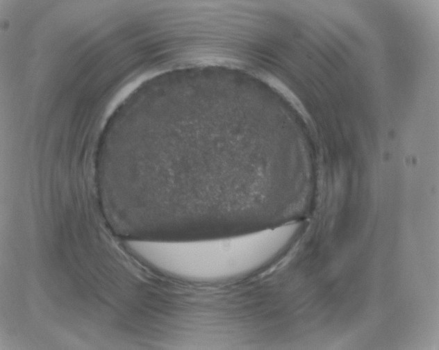 X0000083051023200702231950