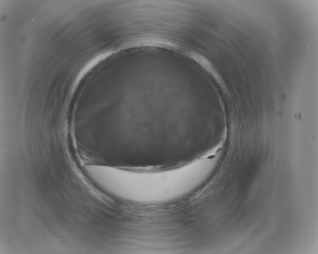 X0000083051024200702231950